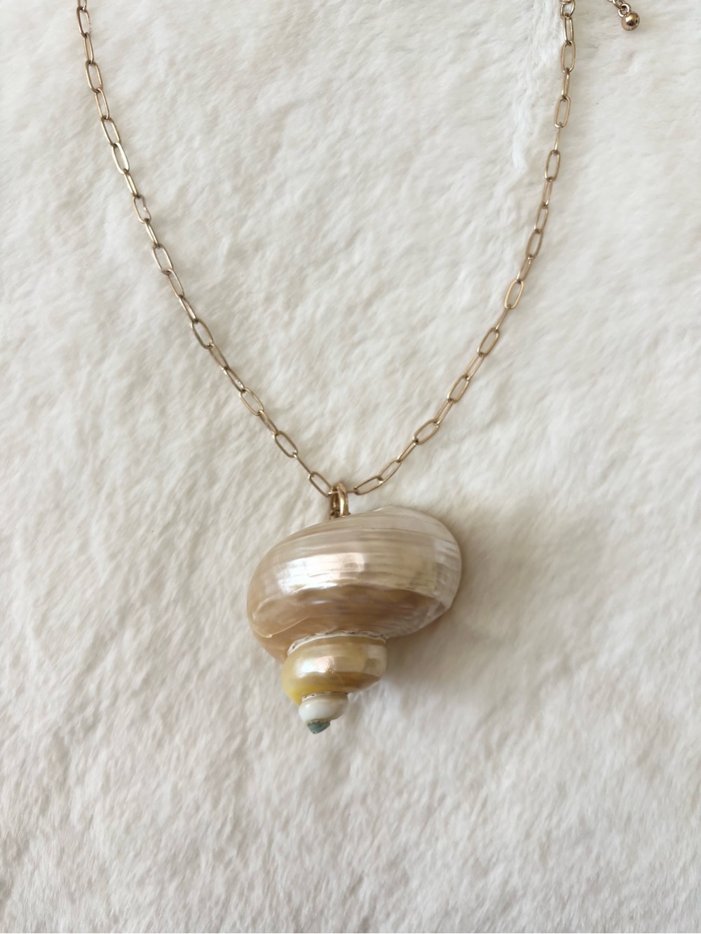 5/$15 🩷 MUST BUNDLE Delicate Cream Shell Pendant Necklace with Gold Chain - Picture 6 of 9